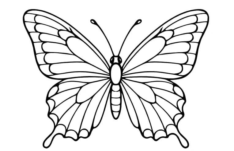 Simple Butterfly Design Coloring Page